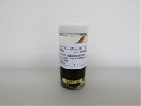 藏品(紅嘴黑鵯)的圖片